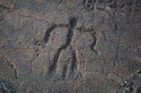 Puako Petroglyph Archaeological Preserve – Big Island