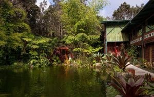 Chalet Kilauea Hotel Exterior Pond