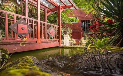 Kilauea Hospitality Group: The Best Rainforest Digs in Hawaii