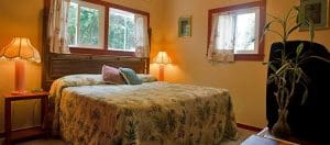 Volcano Hale King Bed