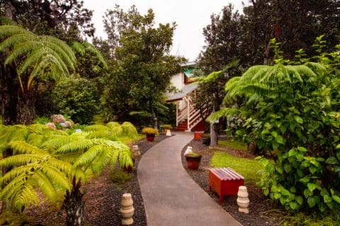 Hotels Near Hawaii Volcanoes National Park I Kilauea Hospitality